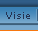 Visie